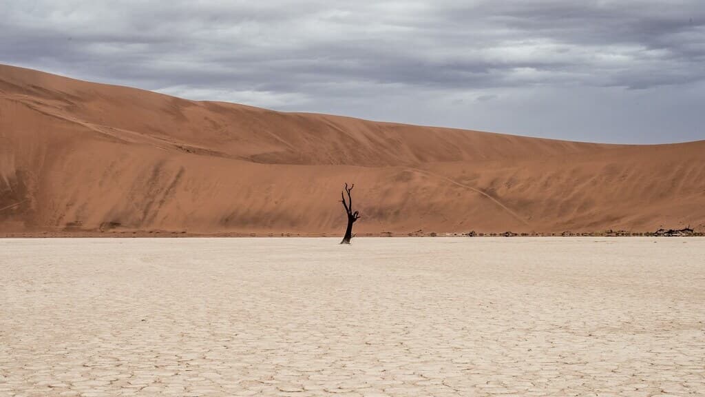 suche powietrze podczas terapii CPAP