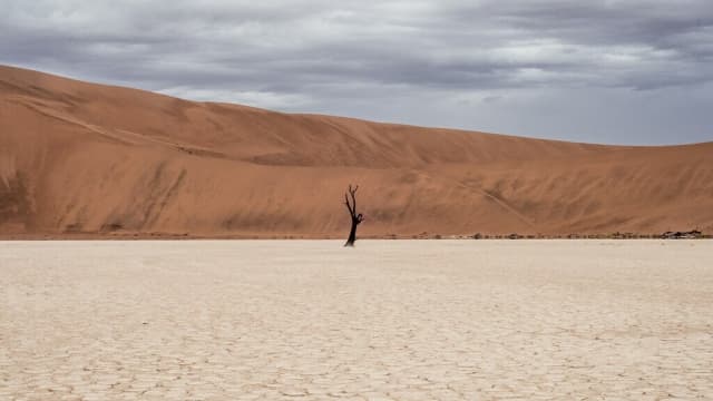 Sanora - Suche powietrze podczas terapii CPAP? Jak nawilżacze i podgrzewane przewody poprawiają komfort snu